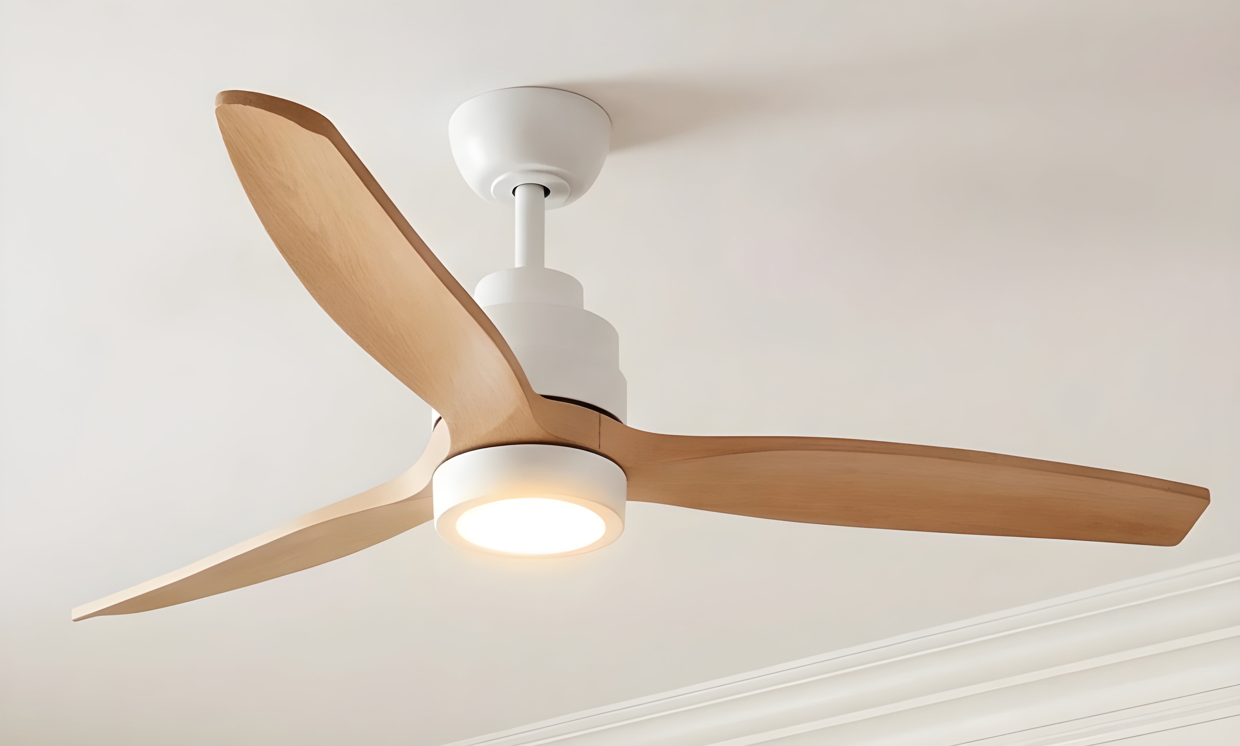 Ceiling Fans with Lights Buying Guide: What to Know Before You Buy - Parrot Uncle UK
