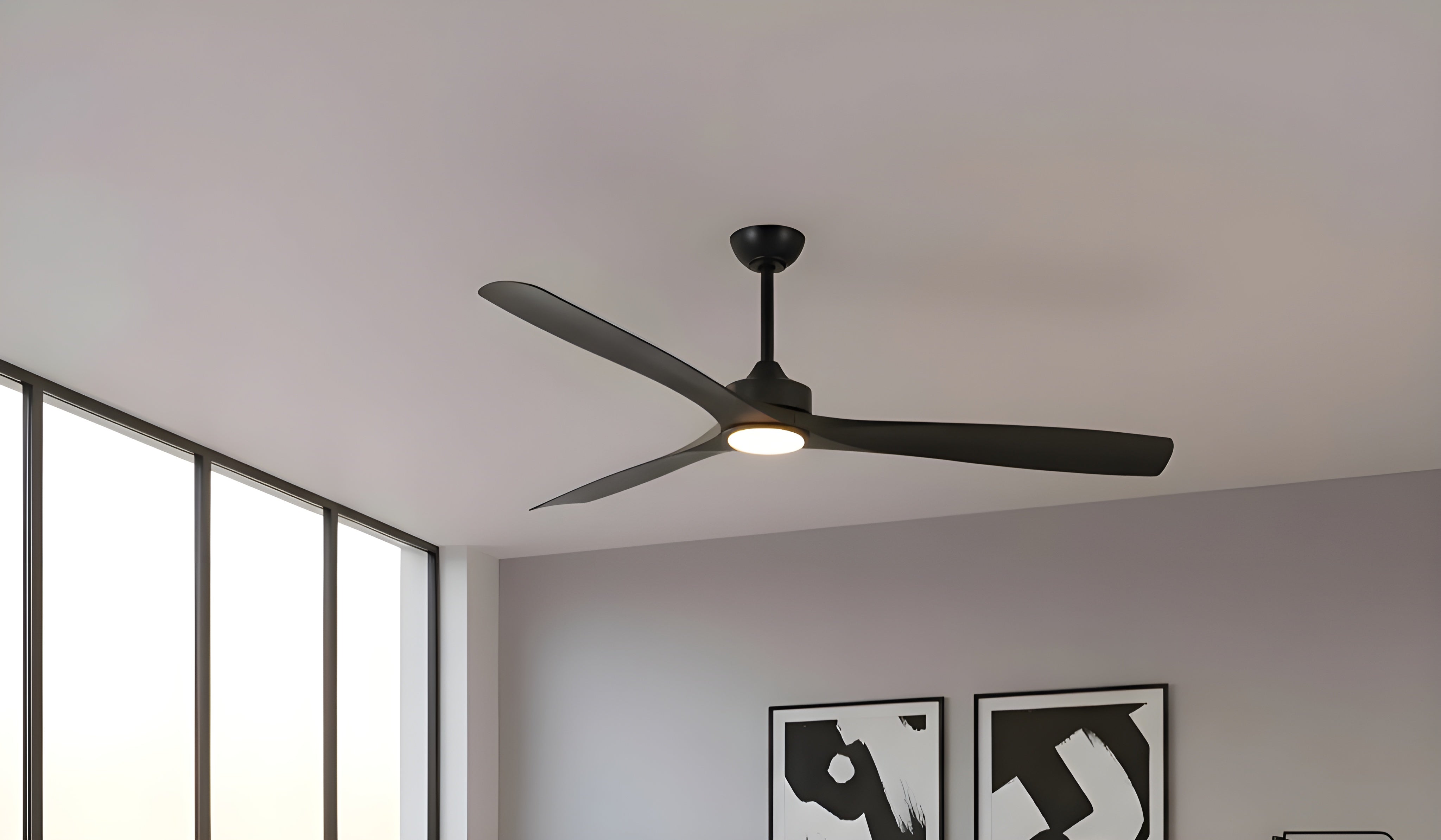 Large Fans - Parrot Uncle UK