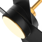 60" Parvez Modern DC Motor Downrod Mount Reversible Ceiling Fan with Lighting and Remote Control - Parrot Uncle UK