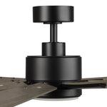 72 Inch Aries Black Downrod Mount LED Windmill Ceiling Fan with Remote Control - Parrot Uncle UK