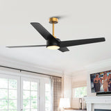 60" Parvez Modern DC Motor Downrod Mount Reversible Ceiling Fan with Lighting and Remote Control - Parrot Uncle UK