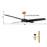 60" Parvez Modern DC Motor Downrod Mount Reversible Ceiling Fan with Lighting and Remote Control - Parrot Uncle UK