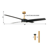 60" Parvez Modern DC Motor Downrod Mount Reversible Ceiling Fan with Lighting and Remote Control - Parrot Uncle UK