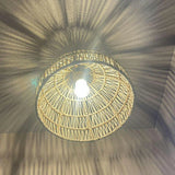 Dreamy Palm Fibers Pendant Light