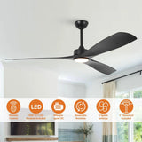 60 Inch Alexi DC Motor Modern Downrod Ceiling Fan with LED Light - Parrot Uncle UK