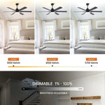 60" Industrial DC Motor Downrod Mount Reversible Ceiling Fan with Lighting and Remote Control - Parrot Uncle UK