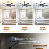 60" Industrial DC Motor Downrod Mount Reversible Ceiling Fan with Lighting and Remote Control - Parrot Uncle UK