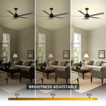 65" Modern Reversible Ceiling Fan with Lighting and Remote Control - Parrot Uncle UK