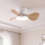 Almaga Quiet Ceiling Fan 61 cm (24”) with LED Light