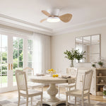 Almaga Quiet Ceiling Fan 61 cm (24”) with LED Light