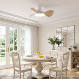Almaga Quiet Ceiling Fan 61 cm (24”) with LED Light