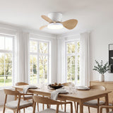 Almaga Silent Ceiling Fan 61 cm (24”) with LED Light