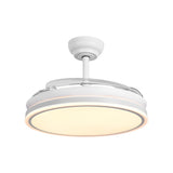 Serena Ultra-Quiet DC Motor Ceiling Fan Ø100 cm with 3 Retractable Blades and LED Light