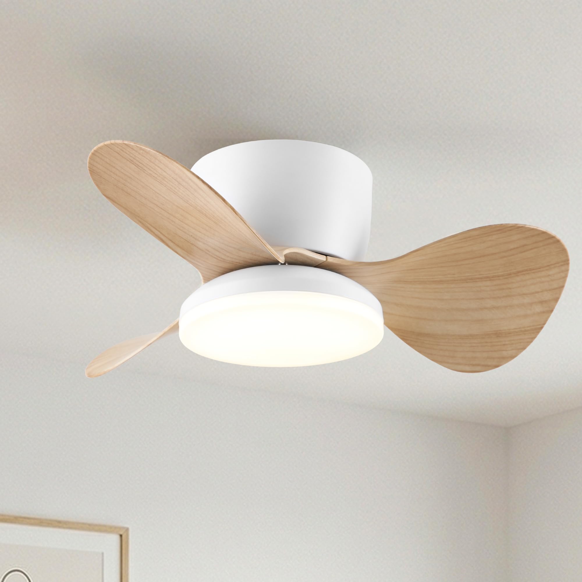 Almaga Silent Ceiling Fan 61 cm (24”) with LED Light