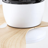 Almaga Silent Ceiling Fan 61 cm (24”) with LED Light