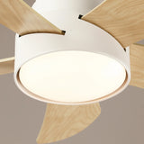 Weston Quiet Ceiling Fan 76cm (20") with 5 Blades and LED Light