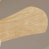Weston Quiet Ceiling Fan 76cm (20") with 5 Blades and LED Light