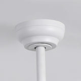 Raydon Ultra-Quiet DC Motor Ceiling Fan Ø91 cm with Retractable Blades and LED Light