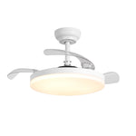 Raydon Ultra-Quiet DC Motor Ceiling Fan Ø91 cm with Retractable Blades and LED Light