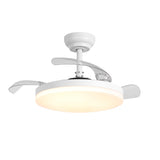Raydon Ultra-Quiet DC Motor Ceiling Fan Ø91 cm with Retractable Blades and LED Light