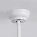 Raydon Ultra-Quiet DC Motor Ceiling Fan Ø106 cm with Retractable Blades and LED Light