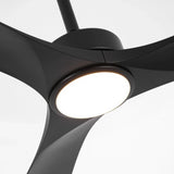 60 Inch Alexi DC Motor Modern Downrod Ceiling Fan with LED Light - Parrot Uncle UK