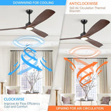 60 Inch Alexi DC Motor Modern Downrod Ceiling Fan with LED Light - Parrot Uncle UK