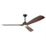 60 Inch Alexi DC Motor Modern Downrod Ceiling Fan with LED Light - Parrot Uncle UK