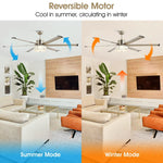 65" Modern Brushed Nickel DC Motor Downrod Mount Reversible Ceiling Fan with Lighting and Remote Control - Parrot Uncle UK