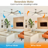 65" Modern Brushed Nickel DC Motor Downrod Mount Reversible Ceiling Fan with Lighting and Remote Control - Parrot Uncle UK