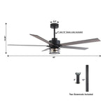 65" Modern Reversible Ceiling Fan with Lighting and Remote Control - Parrot Uncle UK