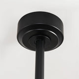 65 Inch Teresa Modern Double-sided Blades Ceiling Fan with Remote Control and LED Light - Parrot Uncle UK