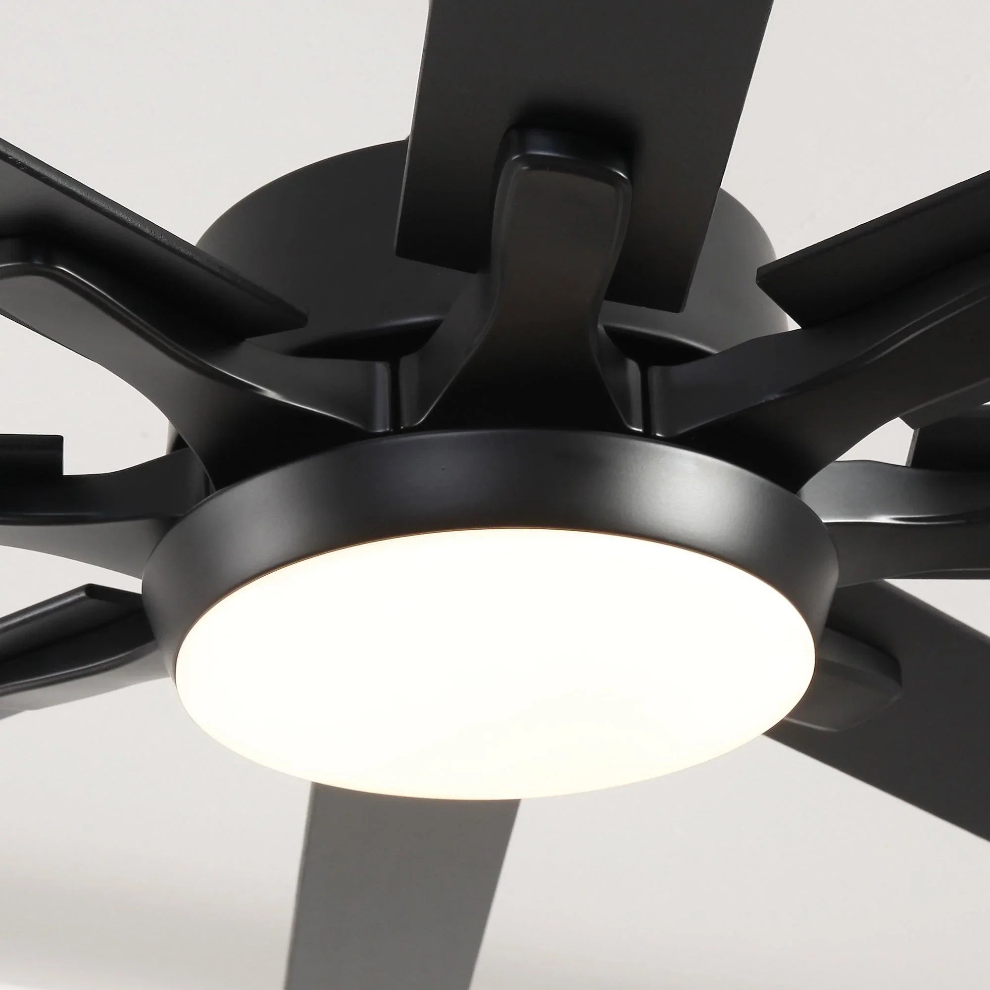 65 Inch Teresa Modern Double-sided Blades Ceiling Fan with Remote Control and LED Light - Parrot Uncle UK