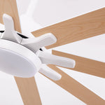 65 Inch Teresa Modern Double-sided Blades Ceiling Fan with Remote Control and LED Light - Parrot Uncle UK