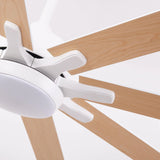 65 Inch Teresa Modern Double-sided Blades Ceiling Fan with Remote Control and LED Light - Parrot Uncle UK