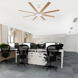 65 Inch Teresa Modern Double-sided Blades Ceiling Fan with Remote Control and LED Light - Parrot Uncle UK