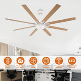 65 Inch Teresa Modern Double-sided Blades Ceiling Fan with Remote Control and LED Light - Parrot Uncle UK