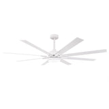 65 Inch Teresa Modern Double-sided Blades Ceiling Fan with Remote Control and LED Light - Parrot Uncle UK