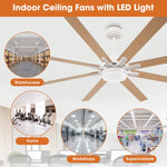 65 Inch Teresa Modern Double-sided Blades Ceiling Fan with Remote Control and LED Light - Parrot Uncle UK