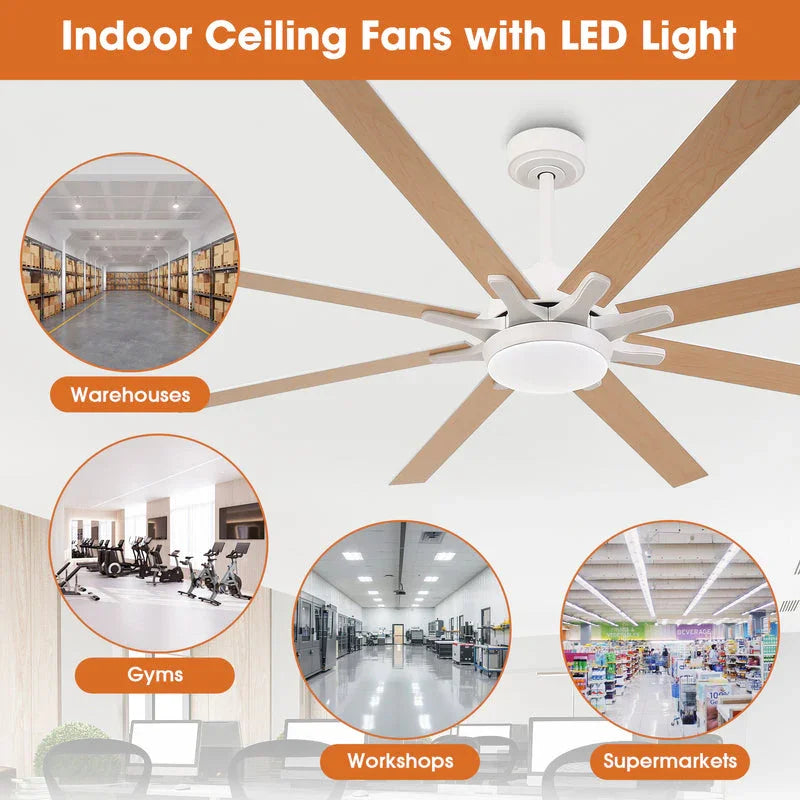 65 Inch Teresa Modern Double-sided Blades Ceiling Fan with Remote Control and LED Light - Parrot Uncle UK