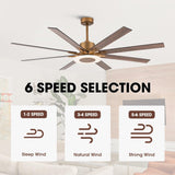 65" Godavari Industrial Downrod Mount Reversible Ceiling Fan with LED Lighting and Remote Control