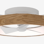 Ceiling Fan
