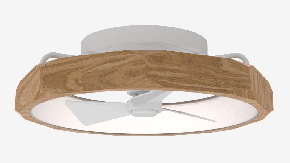 Ceiling Fan