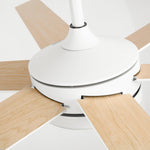 60" DC Motor 6 Blades Modern Downrod Mount Ceiling Fan with Remote Control - Parrot Uncle UK