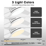 60" DC Motor 6 Blades Modern Downrod Mount Ceiling Fan with Remote Control - Parrot Uncle UK