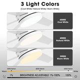 60" DC Motor 6 Blades Modern Downrod Mount Ceiling Fan with Remote Control - Parrot Uncle UK