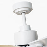 72 Inch Elbe Modern Downrod Mount Ceiling Fan with Light and Remote Control - Parrot Uncle UK