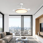 Luzia Ultra-Quiet Ceiling Fan Ø106 cm with 3 Retractable Blades and LED Light
