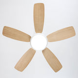 Ella Silent Ceiling Fan 106cm (42") with 5 Blades and LED Light