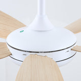 Ella Silent Ceiling Fan 106cm (42") with 5 Blades and LED Light